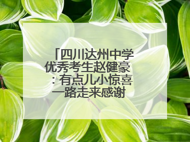四川达州中学优秀考生赵健豪：有点儿小惊喜 一路走来感谢这么多人关爱