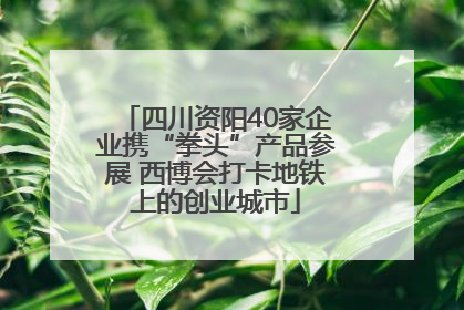 四川资阳40家企业携“拳头”产品参展 西博会打卡地铁上的创业城市