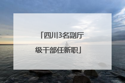 四川3名副厅级干部任新职