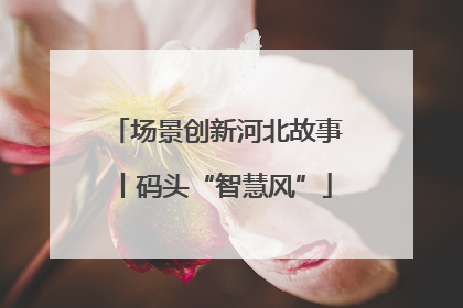 场景创新河北故事丨码头“智慧风”
