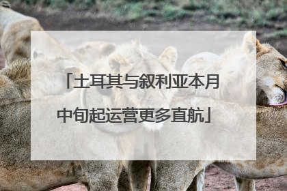 土耳其与叙利亚本月中旬起运营更多直航