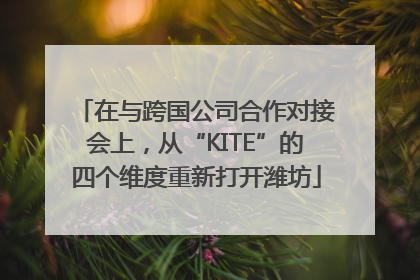 在与跨国公司合作对接会上，从“KITE”的四个维度重新打开潍坊
