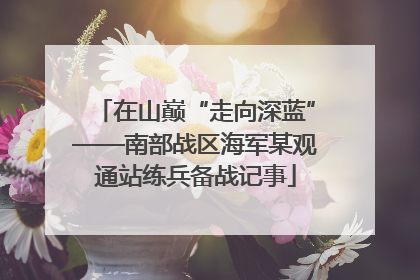 在山巅“走向深蓝”——南部战区海军某观通站练兵备战记事