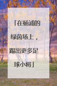 在杨浦的绿茵场上，踢出更多足球小将