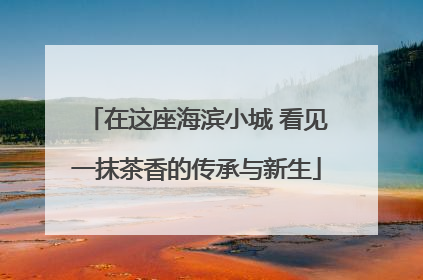 在这座海滨小城 看见一抹茶香的传承与新生