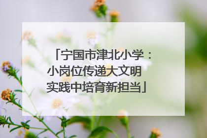 宁国市津北小学：小岗位传递大文明 实践中培育新担当