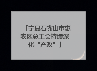 宁夏石嘴山市惠农区总工会持续深化“产改”