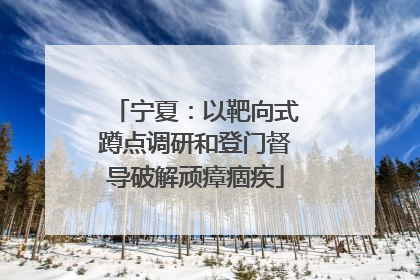 宁夏：以靶向式蹲点调研和登门督导破解顽瘴痼疾