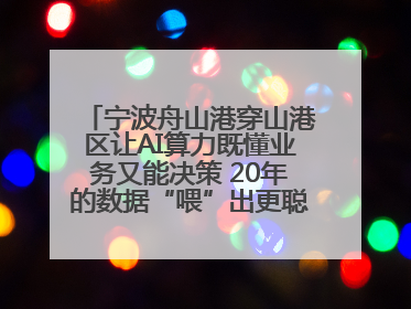 宁波舟山港穿山港区让AI算力既懂业务又能决策 20年的数据“喂”出更聪明的港口