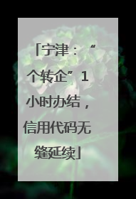 宁津：“个转企”1小时办结，信用代码无缝延续