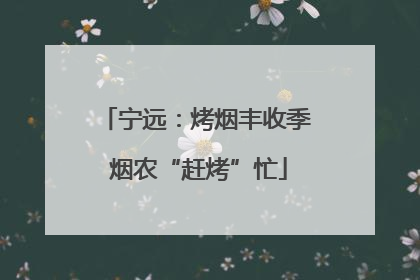 宁远：烤烟丰收季 烟农“赶烤”忙