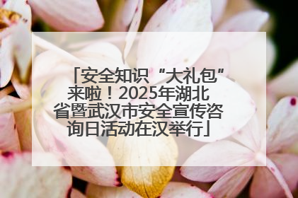 安全知识“大礼包”来啦！2025年湖北省暨武汉市安全宣传咨询日活动在汉举行
