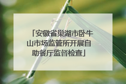 安徽省巢湖市卧牛山市场监管所开展自助餐厅监督检查