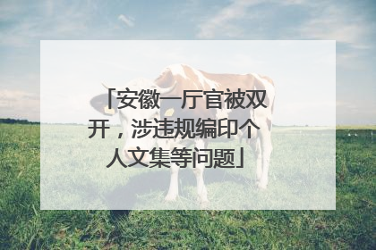 安徽一厅官被双开，涉违规编印个人文集等问题