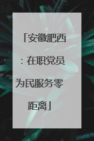 安徽肥西：在职党员为民服务零距离