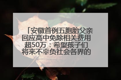 安徽首例五胞胎父亲回应高中免除相关费用超50万：希望孩子们将来不辜负社会各界的帮助与支持