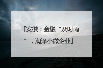 安徽：金融“及时雨”，润泽小微企业