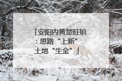 安阳内黄楚旺镇：思路“上新” 土地“生金”