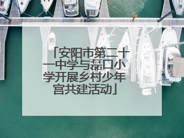 安阳市第二十一中学与磊口小学开展乡村少年宫共建活动