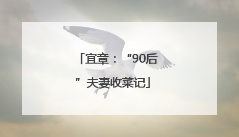 宜章：“90后”夫妻收菜记