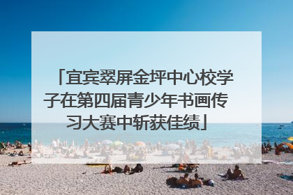 宜宾翠屏金坪中心校学子在第四届青少年书画传习大赛中斩获佳绩