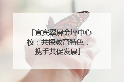 宜宾翠屏金坪中心校：共探教育特色，携手共促发展