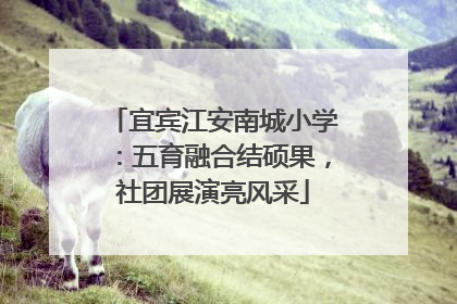 宜宾江安南城小学：五育融合结硕果，社团展演亮风采