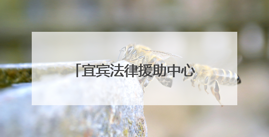 宜宾法律援助中心走进金秋湖中心校开展普法宣讲活动