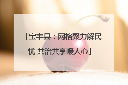 宝丰县：网格聚力解民忧 共治共享暖人心