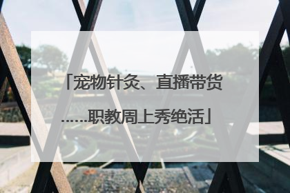 宠物针灸、直播带货……职教周上秀绝活