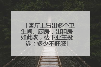 客厅上冒出多个卫生间、厨房，出租房如此改，楼下业主投诉：多少不舒服