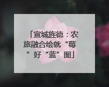 宣城旌德：农旅融合绘就“莓”好“蓝”图