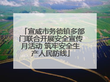 宣威市务德镇多部门联合开展安全宣传月活动 筑牢安全生产人民防线