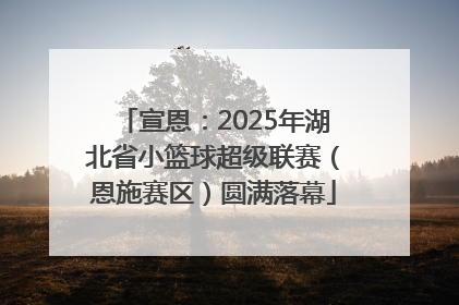 宣恩：2025年湖北省小篮球超级联赛（恩施赛区）圆满落幕