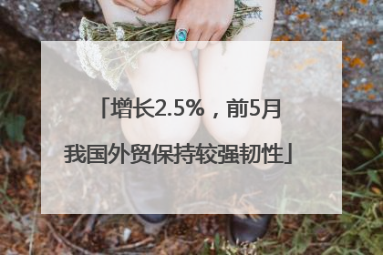 增长2.5%，前5月我国外贸保持较强韧性