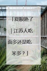 夏粮熟了｜江苏人吃面多还是吃米多？