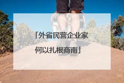 外省民营企业家何以扎根商南