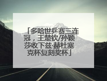 多哈世乒赛三连冠，王楚钦/孙颖莎收下兹·赫杜塞克杯复刻奖杯