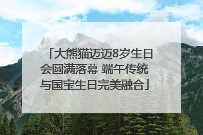 大熊猫迈迈8岁生日会圆满落幕 端午传统与国宝生日完美融合