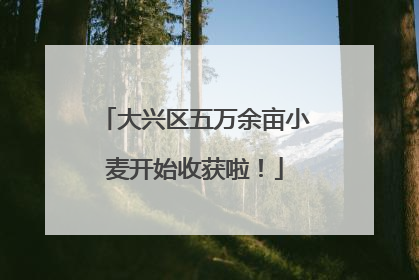大兴区五万余亩小麦开始收获啦！