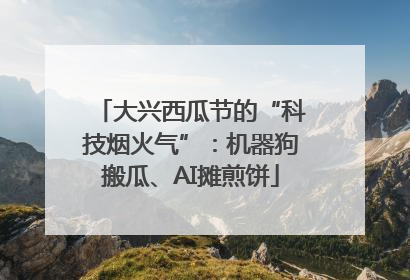 大兴西瓜节的“科技烟火气”：机器狗搬瓜、AI摊煎饼
