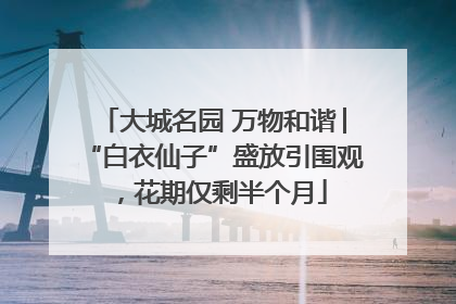 大城名园 万物和谐│“白衣仙子”盛放引围观，花期仅剩半个月