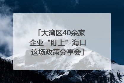 大湾区40余家企业“盯上”海口这场政策分享会