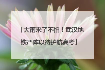 大雨来了不怕！武汉地铁严阵以待护航高考
