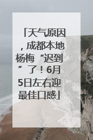 天气原因，成都本地杨梅“迟到”了！6月5日左右迎最佳口感
