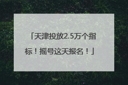 天津投放2.5万个指标！摇号这天报名！