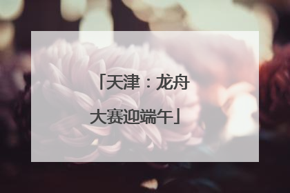 天津：龙舟大赛迎端午