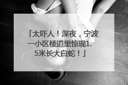 太吓人！深夜，宁波一小区楼道里惊现1.5米长大白蛇！