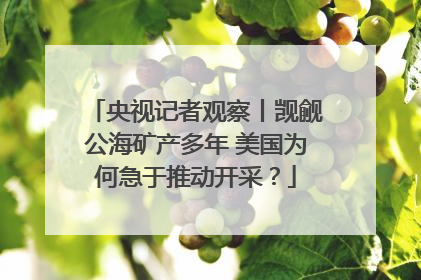 央视记者观察丨觊觎公海矿产多年 美国为何急于推动开采？
