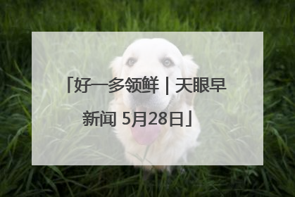 好一多领鲜｜天眼早新闻 5月28日